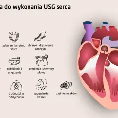 Wskazania do USG serca: zaburzenia rytmu serca, bóle w klatce, omdlenia, trudności z oddychaniem. Echo serca pomaga zdiagnozować te problemy.