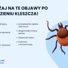 Objawy po ugryzieniu kleszcza: rumień, gorączka, zmęczenie, bóle głowy i stawów, powiększone węzły chłonne, zmiany skórne, sztywność karku, trudności z koncentracją.