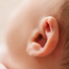 Delikatne ucho dziecka, które może sygnalizować ból ucha u dziecka.