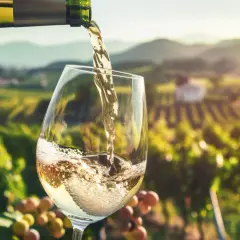 Białe wino nalewane do kieliszka na tle winnicy. Po zawale, ostrożnie z alkoholem.