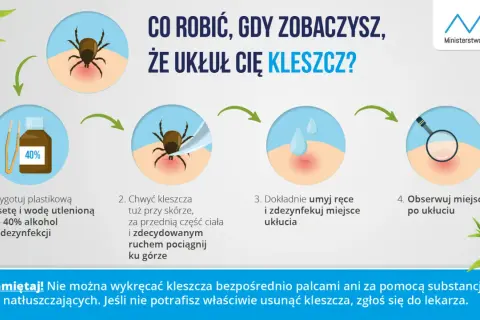 Instrukcja usuwania kleszcza: przygotuj pęsetę i alkohol, chwyć kleszcza blisko skóry i pociągnij. Umyj ręce i obserwuj miejsce po ukłuciu.