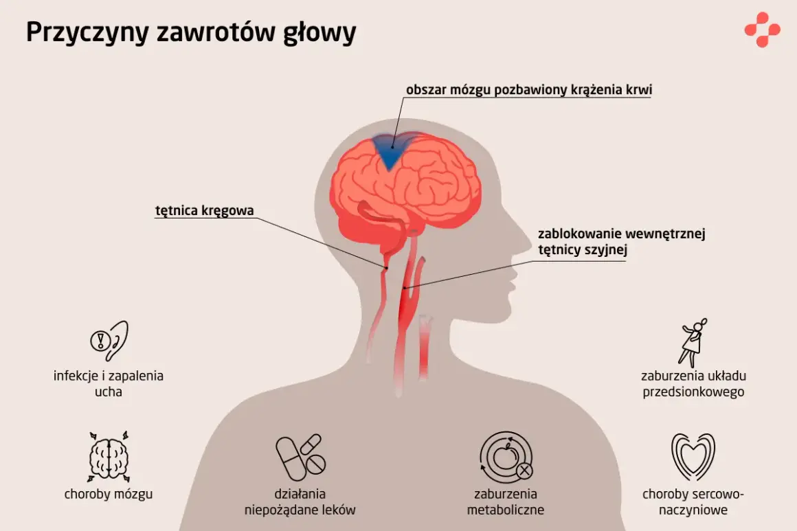 Gdy kręci się w głowie, przyczyną może być blokada tętnicy szyjnej, problemy z krążeniem mózgu, choroby ucha, mózgu, metaboliczne, sercowo-naczyniowe lub leki.