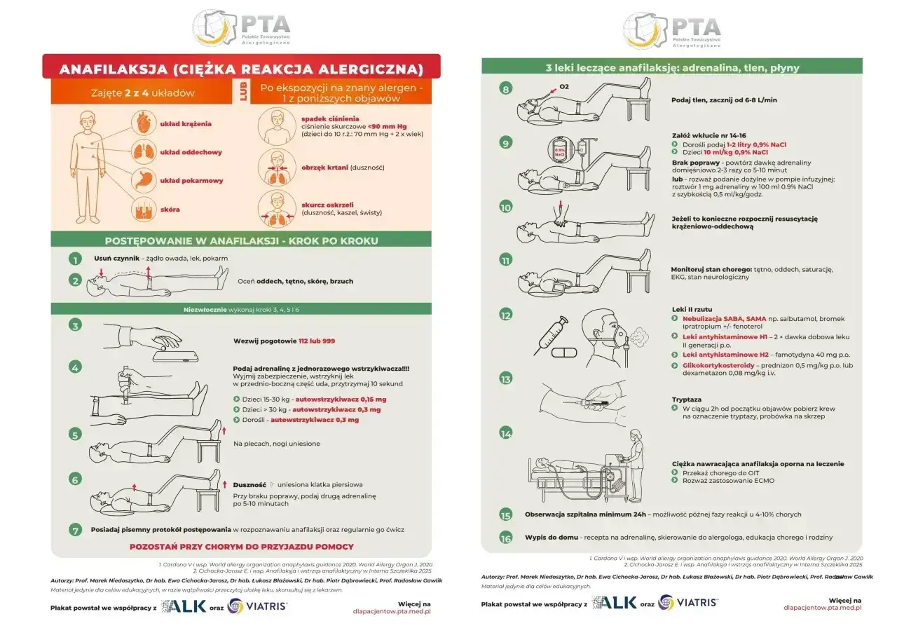 Plakat edukacyjny o anafilaksji: objawy, postępowanie krok po kroku, leczenie adrenaliną, tlenem i płynami.